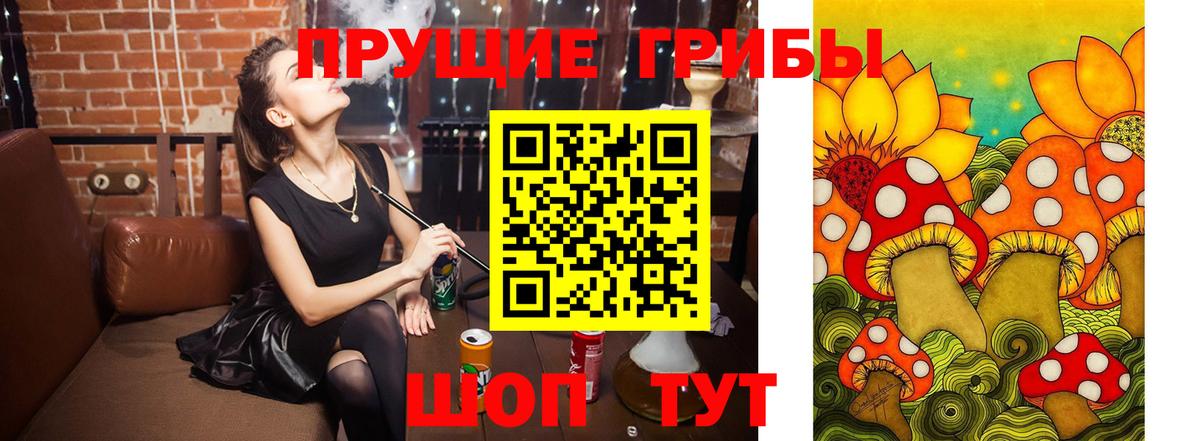 наркота  Псилоцибиновые грибы мухоморы  Фурманов  Вход с VPN  Галлюциногенные грибы Psilocybine cubensis 