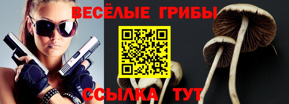 Псилоцибиновые грибы Psilocybe Фурманов